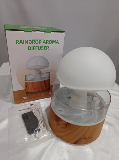 Rain Cloud Humidifier